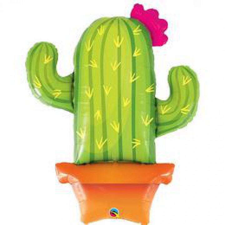 Kaktusz cserépben fólia lufi