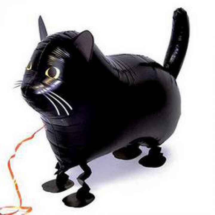 Fekete macska sétáló fólia luf
