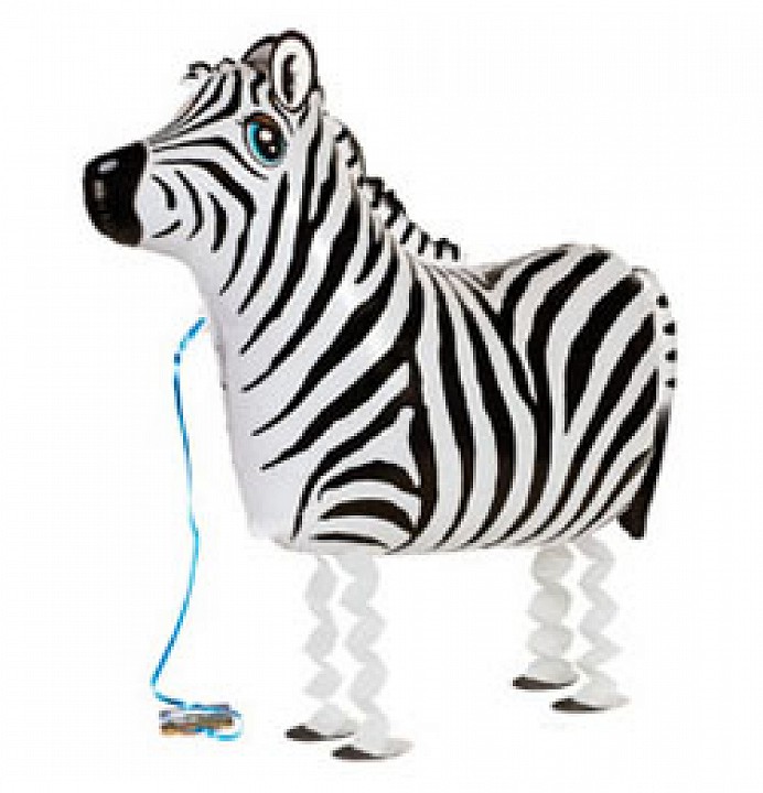 Zebra sétáló fólia lufi